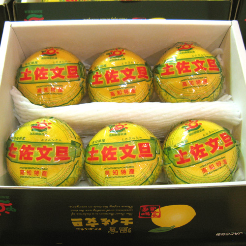 ハウスぶんたん3kg