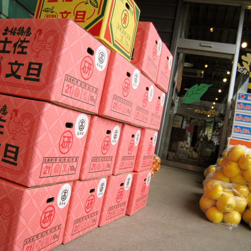 10kg 4200円の小玉の見本