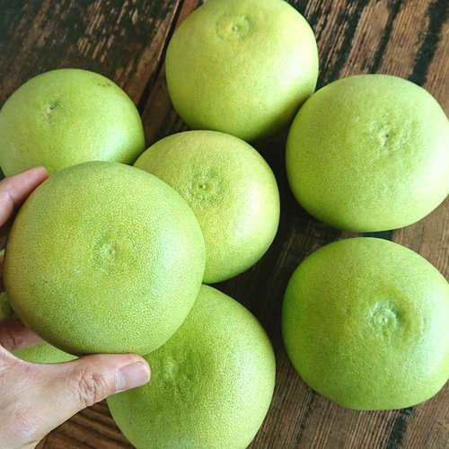 3kg6玉のイメージ(箱は異なる場合があります)