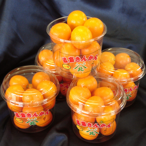 パック入り 約250g