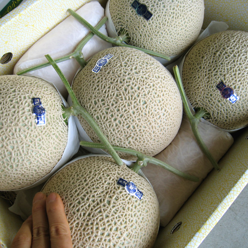 大箱のイメージです
