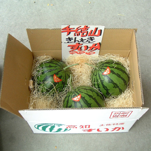 手結山きんとき西瓜の見本