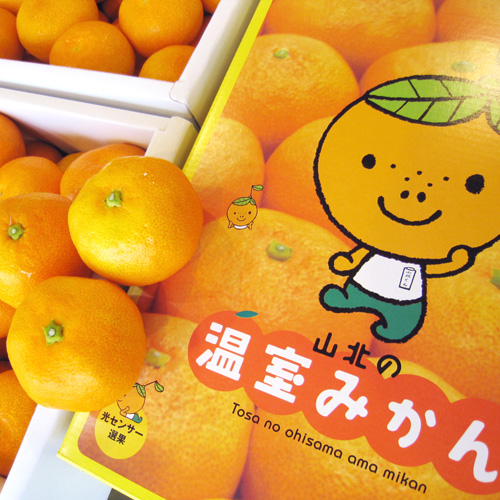 全体の大きさの比較