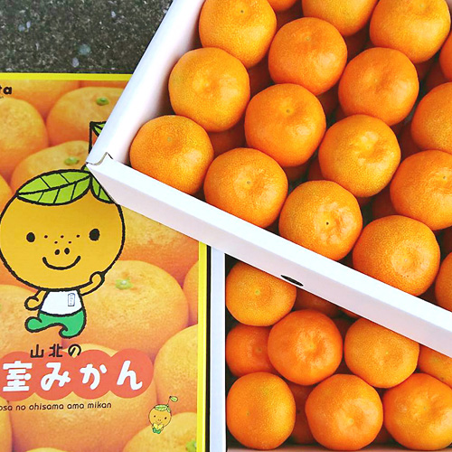 この時期は冷蔵庫保管が良い