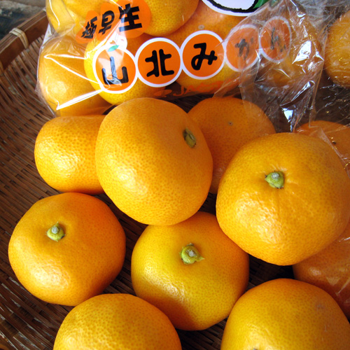 夏は一番人気です