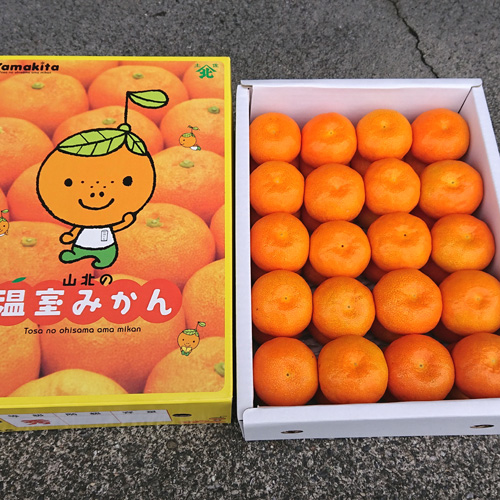 ビニールのままで箱へ詰めてお届けする場合あり