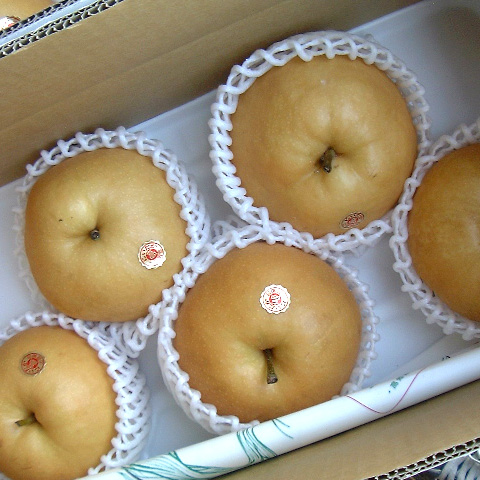 L〜2L程度のイメージ