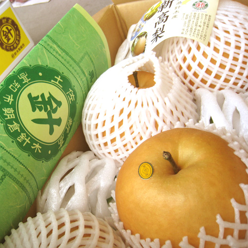 針木産 新高梨