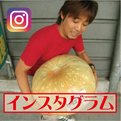 インスタグラム