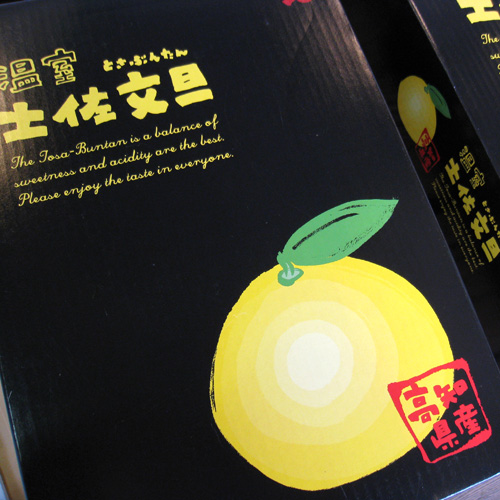 温室土佐文旦
