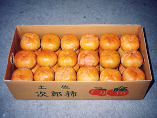柿の大箱8kgのイメージ