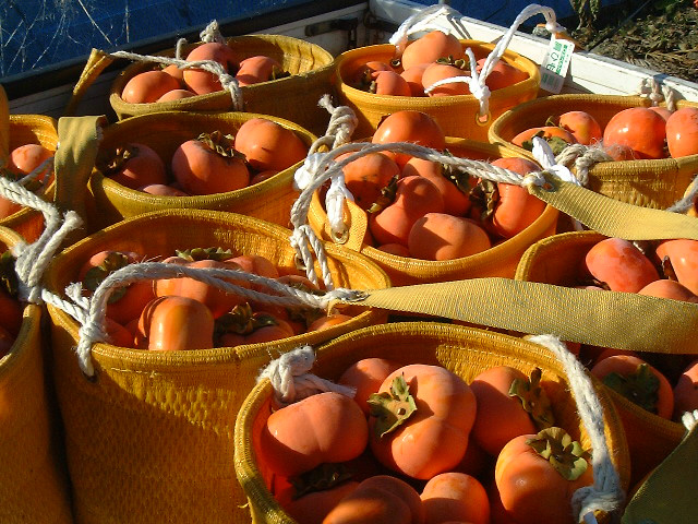 収穫直後の次郎柿のイメージ