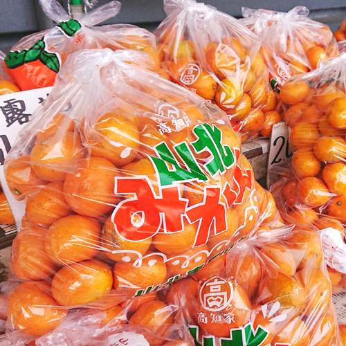 お買い得情報（セール品情報）