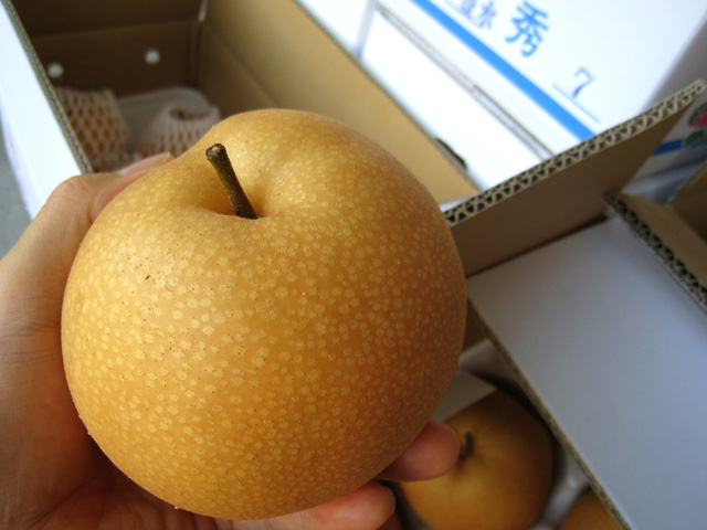 豊水梨のアップ