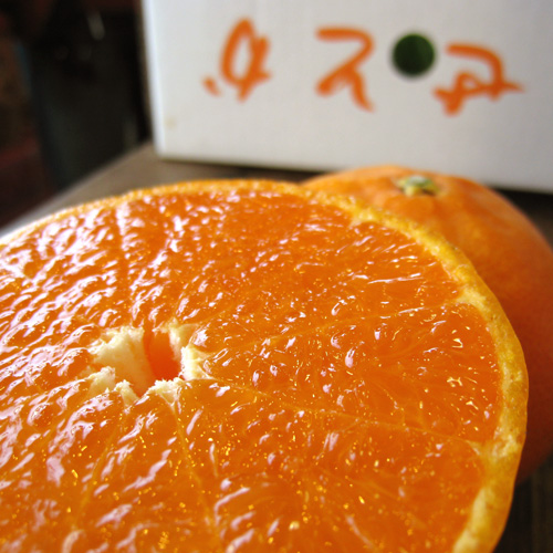 山北産 せとか（温室栽培）