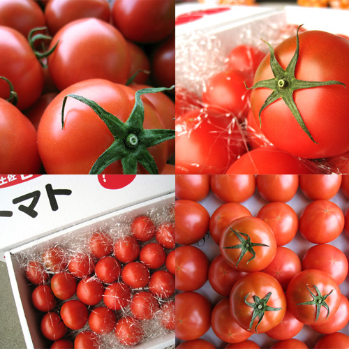 フルーツトマト（冬が旬）
