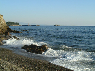 手結の海岸