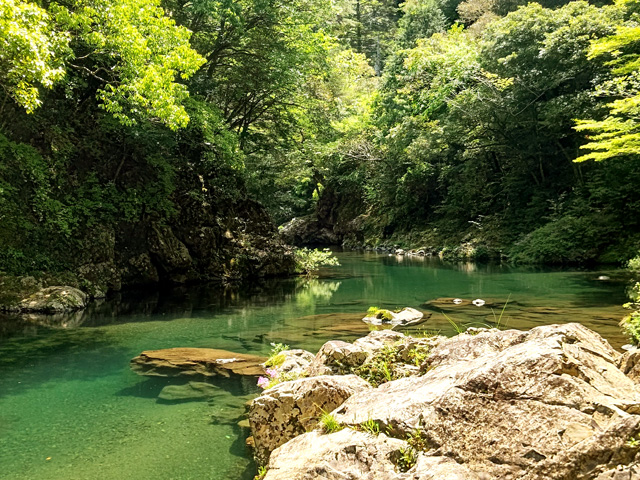 美しい山の川の風景